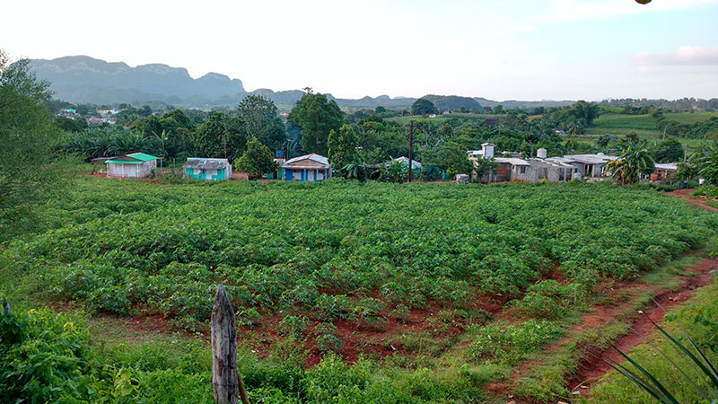 Viñales en Cuba con Gara Alom