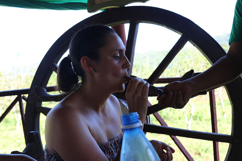 Puros en Viñales en Cuba