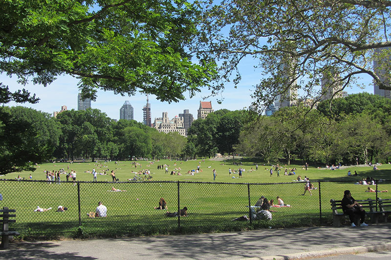 Zona de césped en Central Park en New York