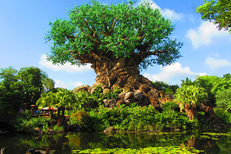 Árbol de la vida en Disney Animal Kingdom