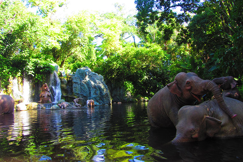 Paisaje con elefantes en Disney Magic Kingdom