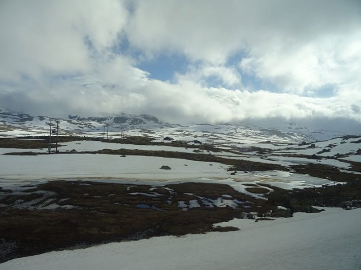 Tren panorámico de Bergen a Olso