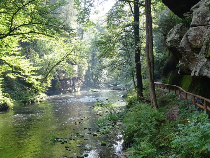 Sendero Kamenice Gorge en Hřensko