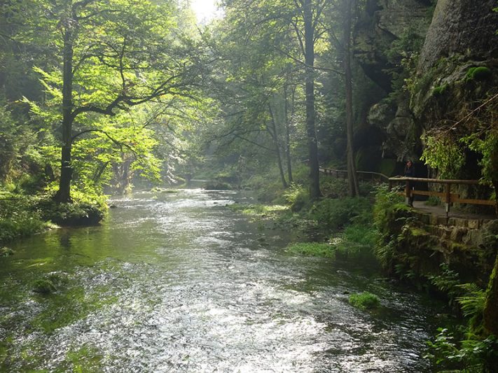 Sendero por el río Kamenice en Kamenice Gorge