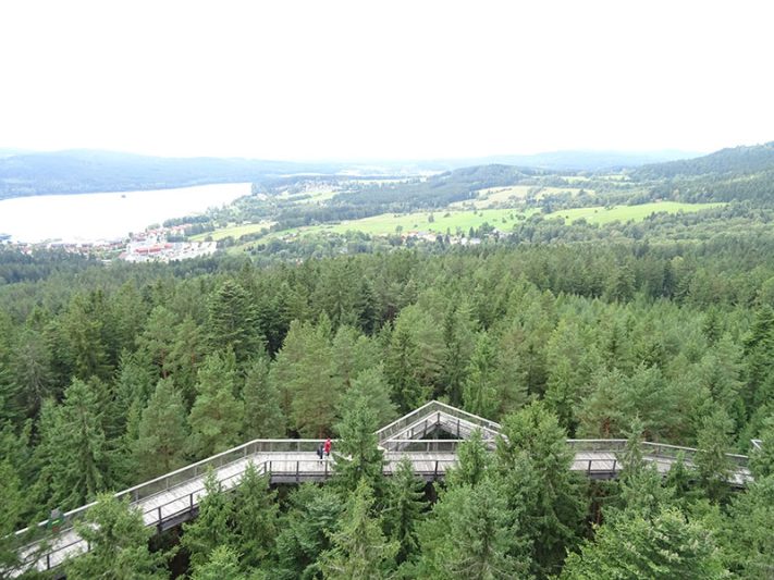 Treetop Trail en Lipno