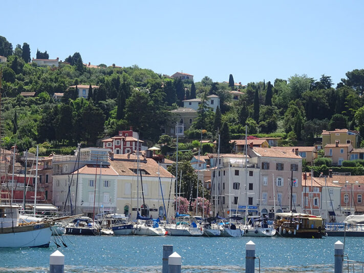 Muelle con barcos en Pirán