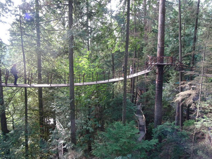 Capilano suspension Brigde Vancouver