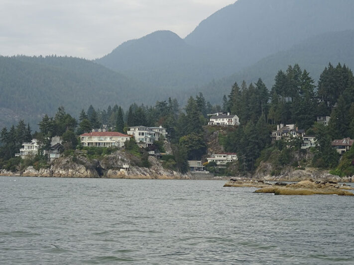 Focas en las islas de Vancouver